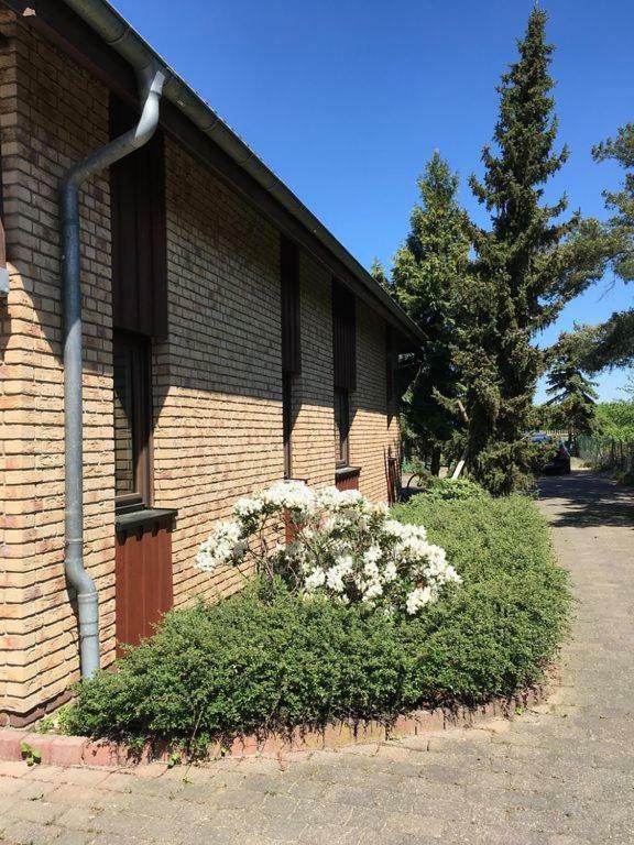 Ferienhaus Busch Leipzig Eksteriør billede